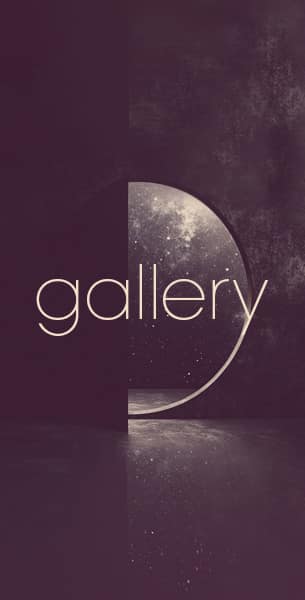 portal-button-lang-galleyx